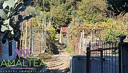 Terreno Con Baracca E Taverna
