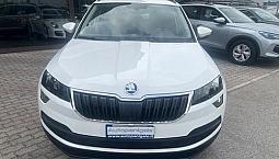 Skoda Karoq 1.0 Tsi 110 Cv Executive