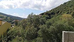 Terreno Edificabile Immerso Nella Natura