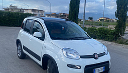Fiat Panda 4x4 13mjt