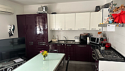 Appartamento Borsea (Ro)