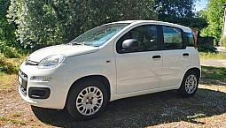 Fiat Panda 3ª Serie - 2019