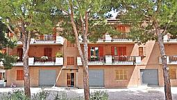 Appartamento - Torre San Patrizio