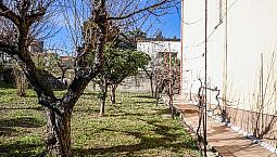 Appartamenti 1*2*3* Piano In Portocannone