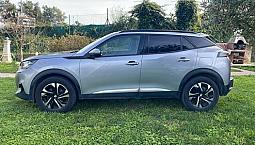 Peugeot 2008 2ª Serie - 2020
